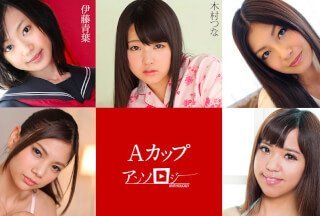 41312最新电影大全-手机电影免费观看最新