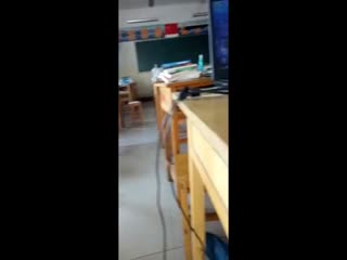 韩国主播青草最新在线-手机电影迅雷极速版下载