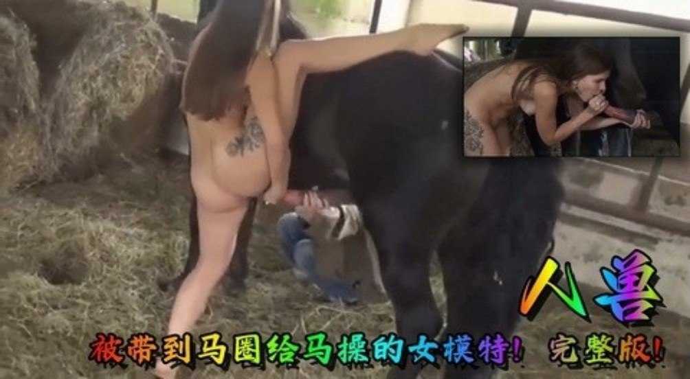 欧美三黑人一级特黄曰皮-免费电影日本成人在线