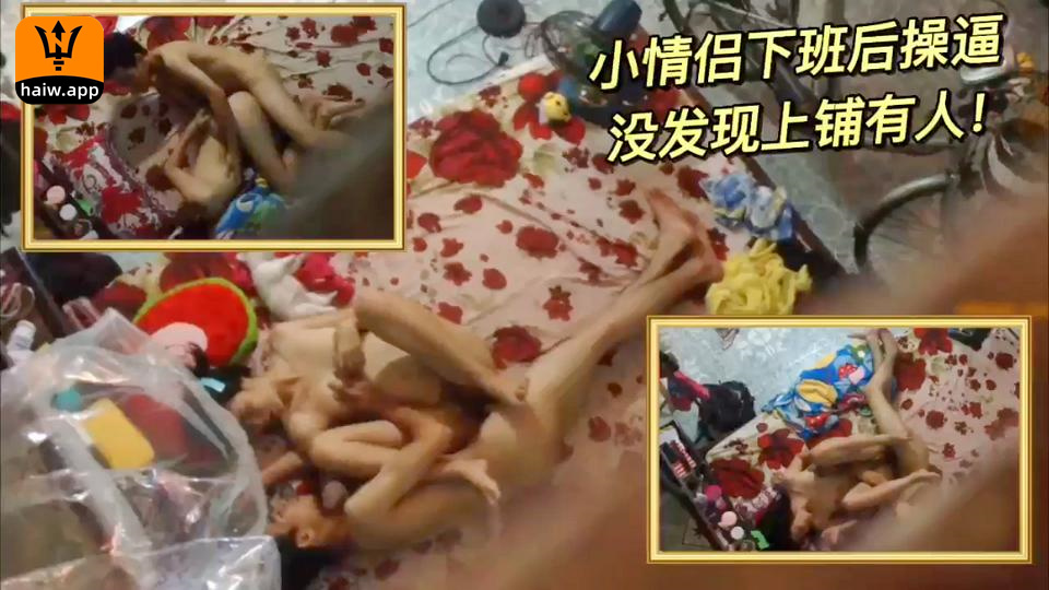 黑寡妇巢-BD高清影院最新电影在线观看