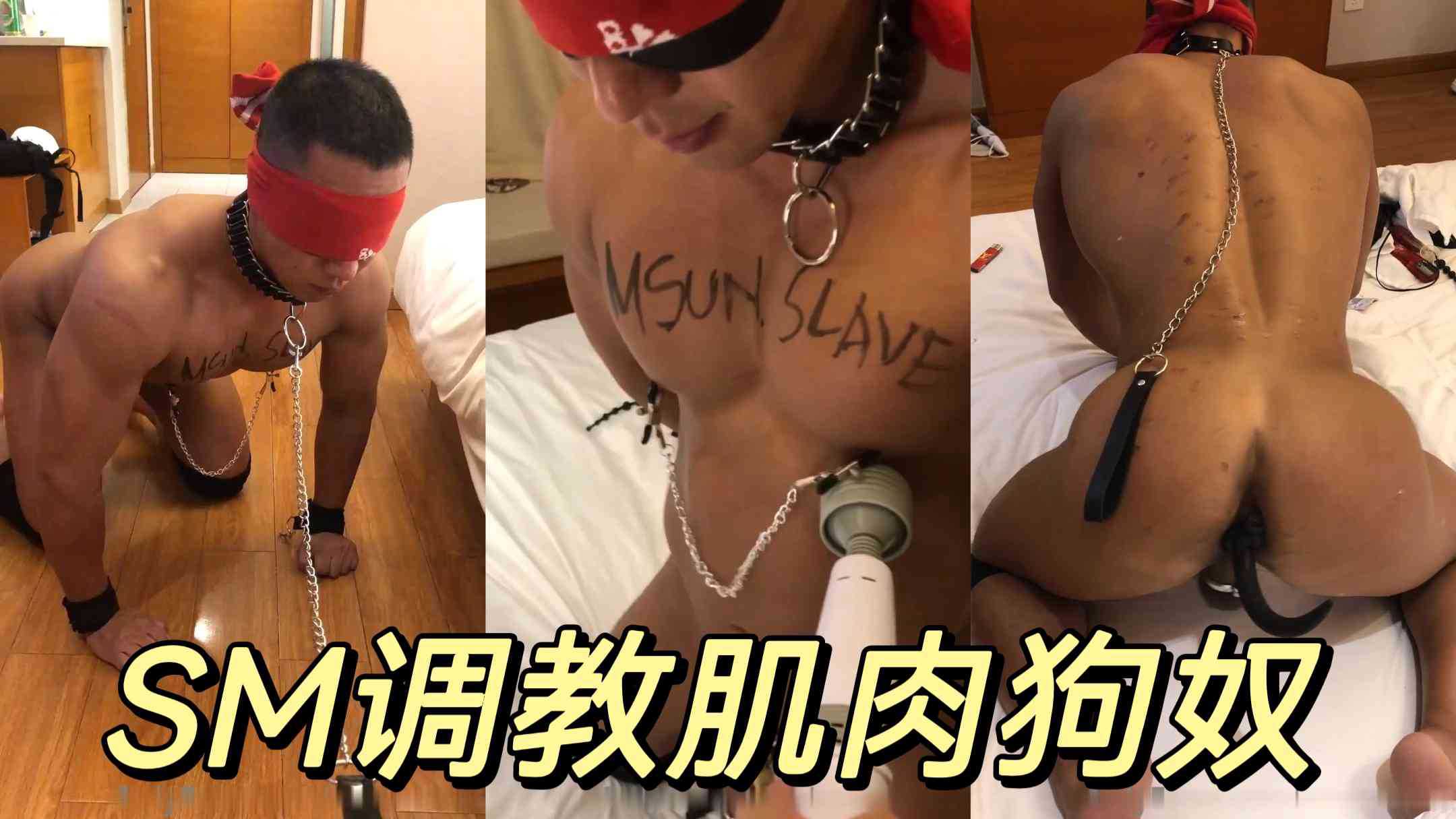 AAA级A片毛片久久久网站-4K国语版完整版