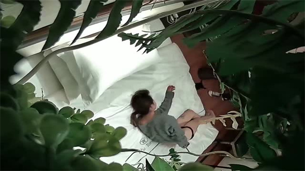 福利视频网站-爱奇艺vip在线观看视频